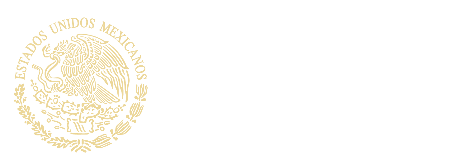 Logo Gobierno de México